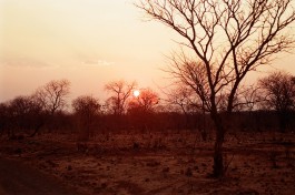 Daniela Müller-Brunke