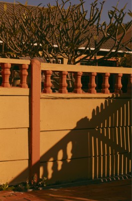 Daniela Müller-Brunke