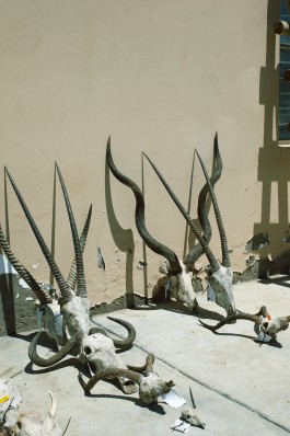 Daniela Müller-Brunke