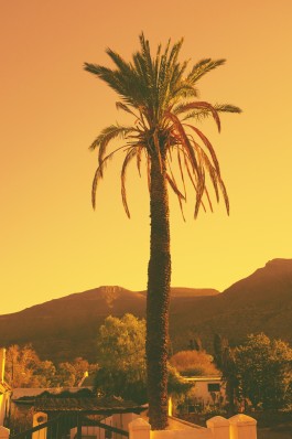 Daniela Müller-Brunke