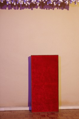 Daniela Müller-Brunke