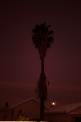 Daniela Müller-Brunke